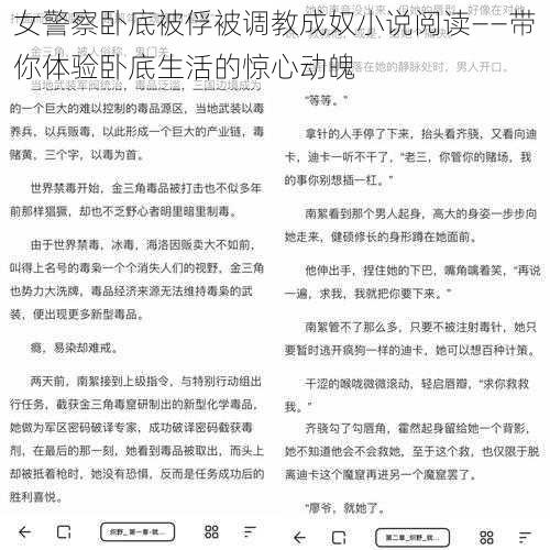 女警察卧底被俘被调教成奴小说阅读——带你体验卧底生活的惊心动魄