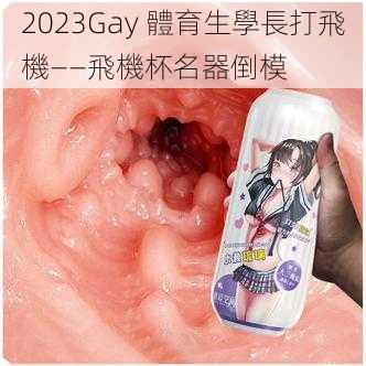 2023Gay 體育生學長打飛機——飛機杯名器倒模