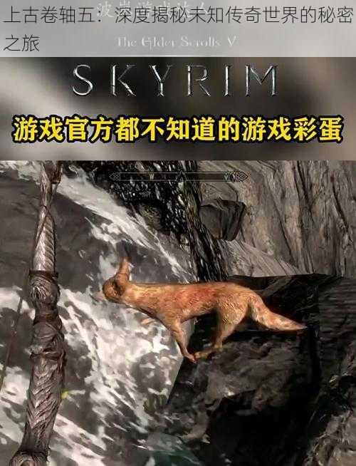 上古卷轴五：深度揭秘未知传奇世界的秘密之旅