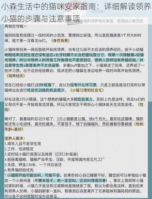 小森生活中的猫咪安家指南：详细解读领养小猫的步骤与注意事项