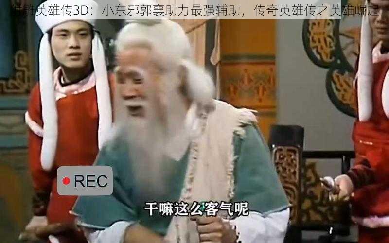 射雕英雄传3D：小东邪郭襄助力最强辅助，传奇英雄传之英雄崛起