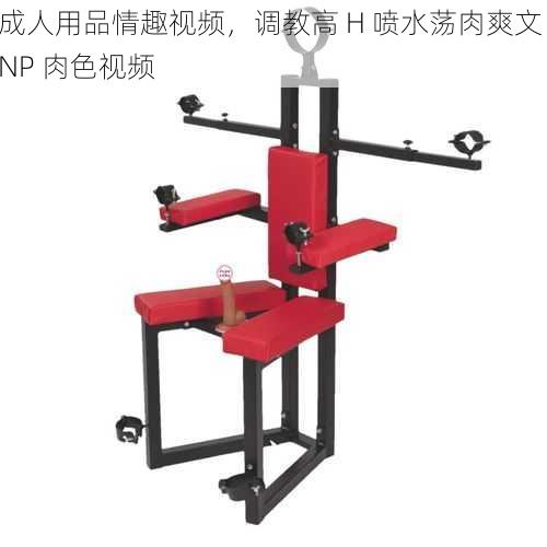 成人用品情趣视频，调教高 H 喷水荡肉爽文 NP 肉色视频