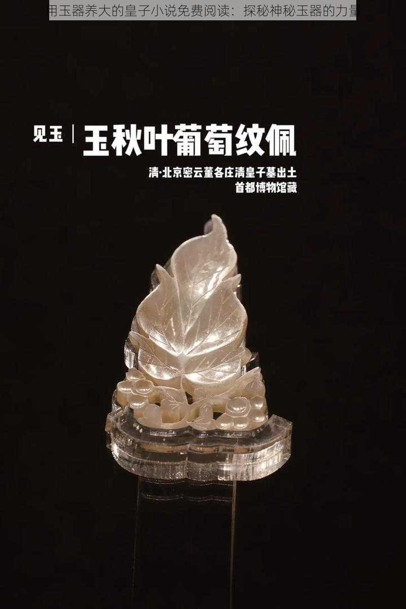 用玉器养大的皇子小说免费阅读：探秘神秘玉器的力量