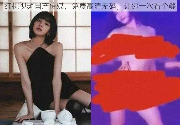 红桃视频国产传媒，免费高清无码，让你一次看个够