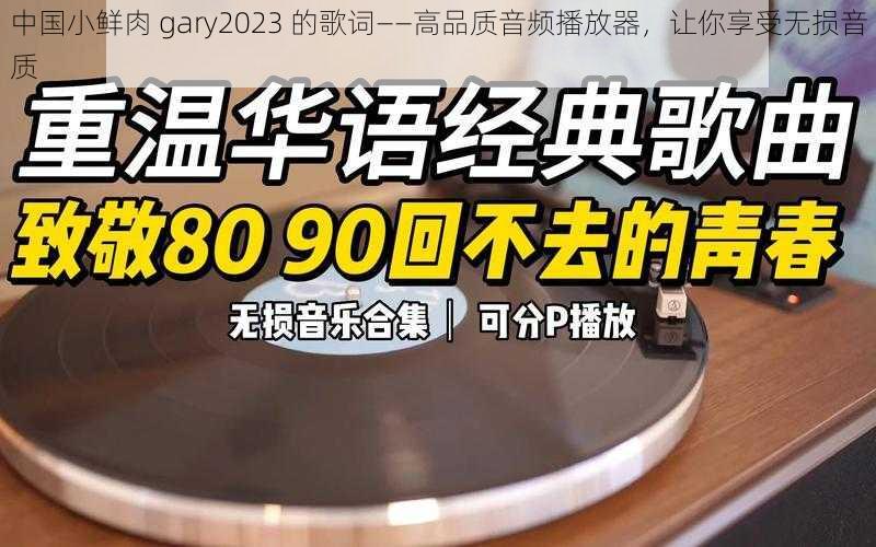 中国小鲜肉 gary2023 的歌词——高品质音频播放器，让你享受无损音质