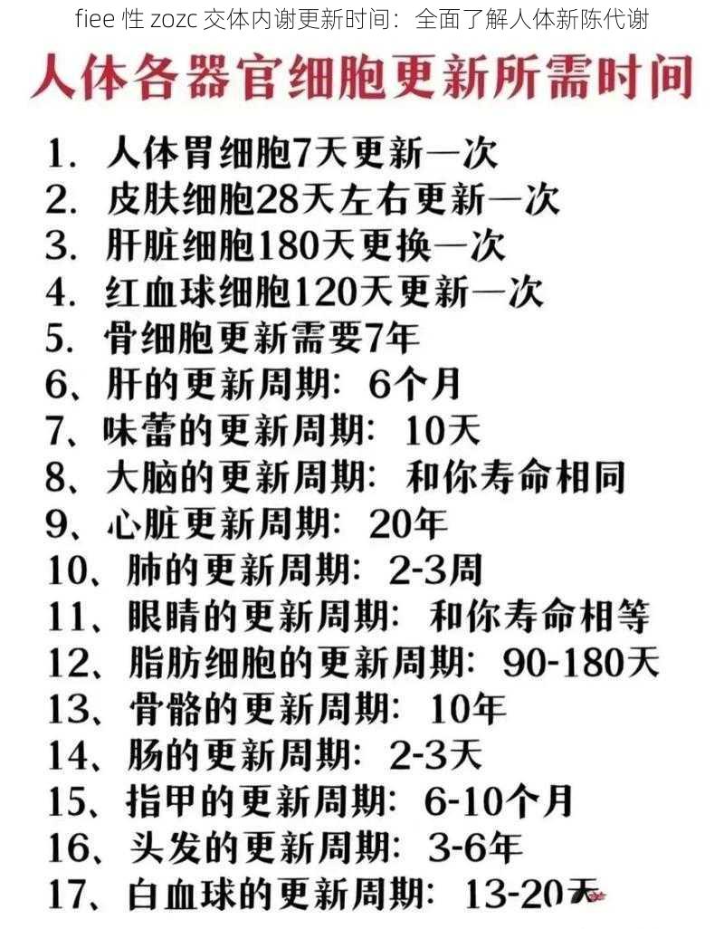 fiee 性 zozc 交体内谢更新时间：全面了解人体新陈代谢