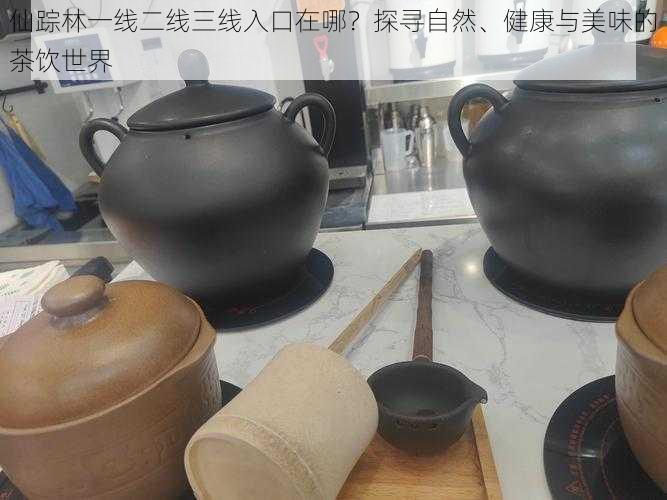 仙踪林一线二线三线入口在哪？探寻自然、健康与美味的茶饮世界