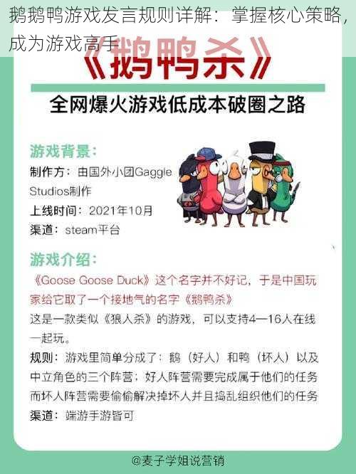 鹅鹅鸭游戏发言规则详解：掌握核心策略，成为游戏高手