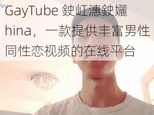 GayTube 鉂屸潓鉂孋hina，一款提供丰富男性同性恋视频的在线平台