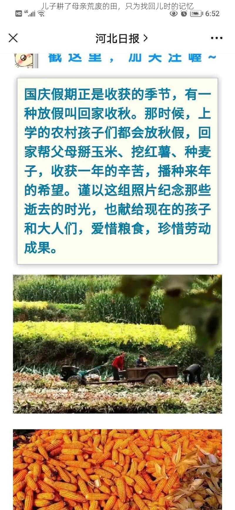 儿子耕了母亲荒废的田，只为找回儿时的记忆