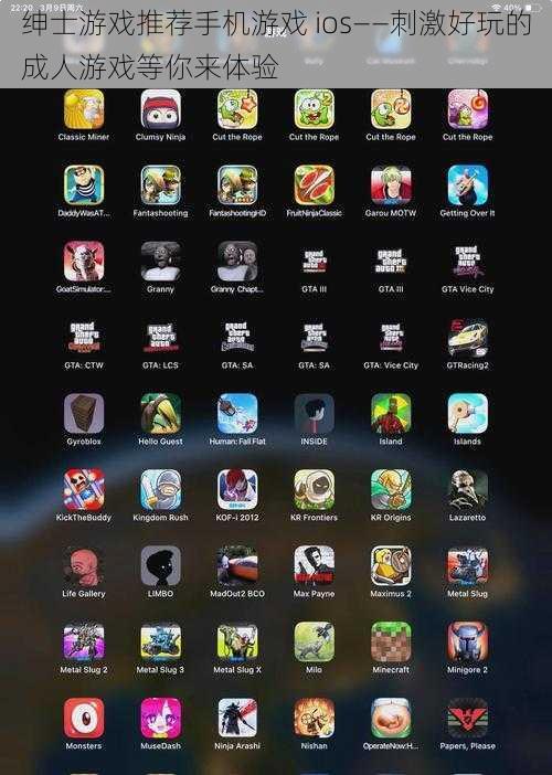 绅士游戏推荐手机游戏 ios——刺激好玩的成人游戏等你来体验