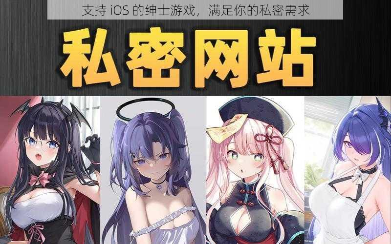 支持 iOS 的绅士游戏，满足你的私密需求