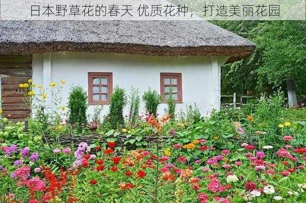 日本野草花的春天 优质花种，打造美丽花园