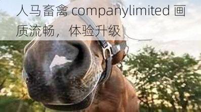 人马畜禽 companylimited 画质流畅，体验升级