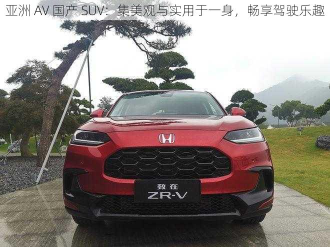 亚洲 AV 国产 SUV：集美观与实用于一身，畅享驾驶乐趣