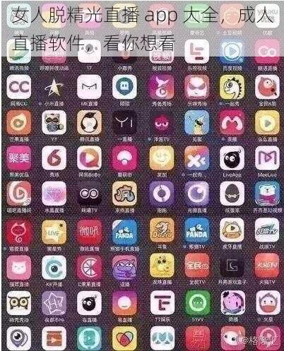 女人脱精光直播 app 大全，成人直播软件，看你想看