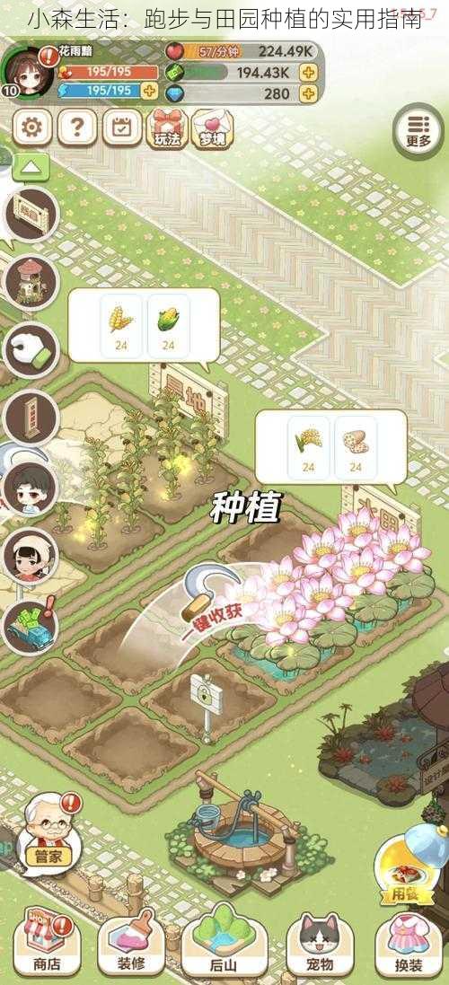 小森生活：跑步与田园种植的实用指南