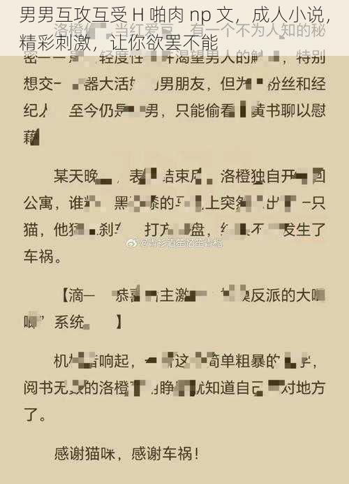 男男互攻互受 H 啪肉 np 文，成人小说，精彩刺激，让你欲罢不能