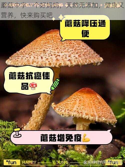 蘑菇中字一个好妈妈，天然无添加，健康又营养，快来购买吧