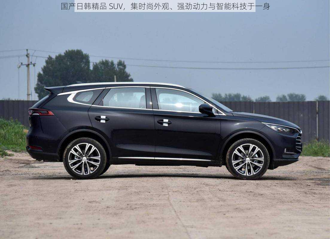 国产日韩精品 SUV，集时尚外观、强劲动力与智能科技于一身