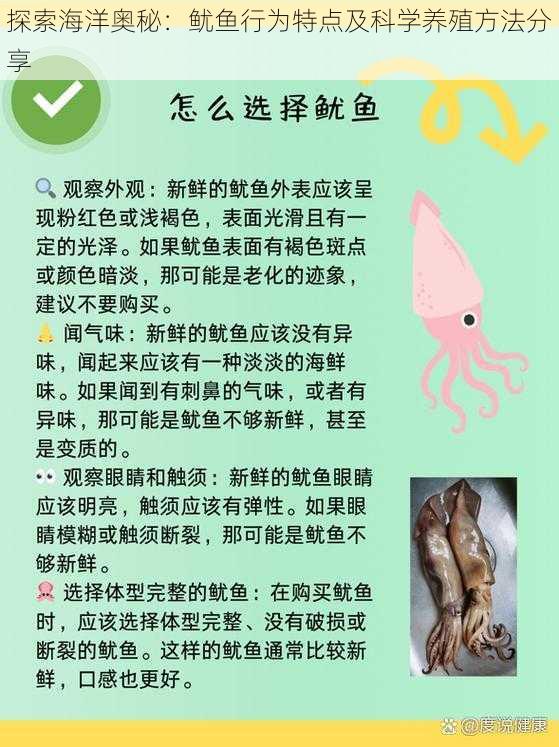 探索海洋奥秘：鱿鱼行为特点及科学养殖方法分享