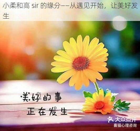 小柔和高 sir 的缘分——从遇见开始，让美好发生