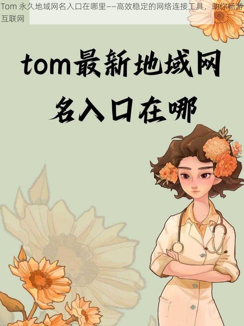 Tom 永久地域网名入口在哪里——高效稳定的网络连接工具，助你畅游互联网