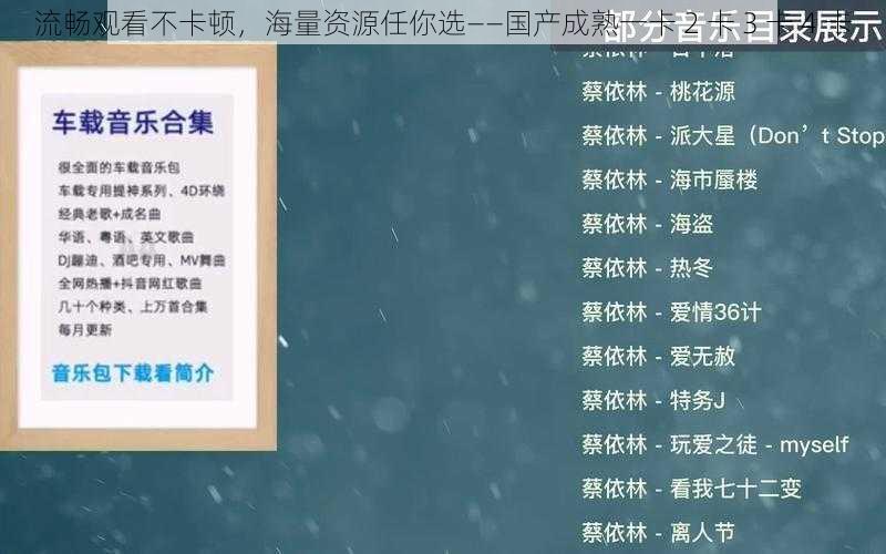 流畅观看不卡顿，海量资源任你选——国产成熟一卡 2 卡 3 卡 4 卡