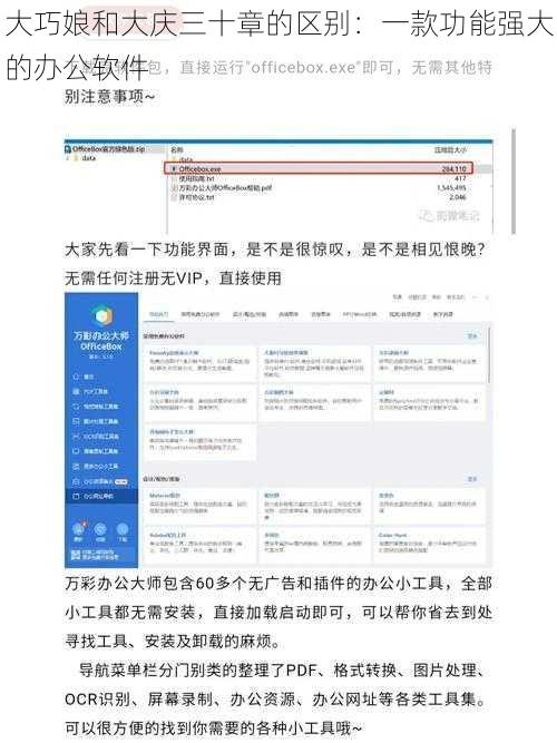 大巧娘和大庆三十章的区别：一款功能强大的办公软件
