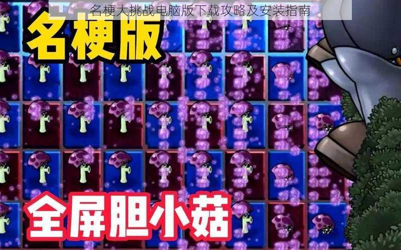 名梗大挑战电脑版下载攻略及安装指南