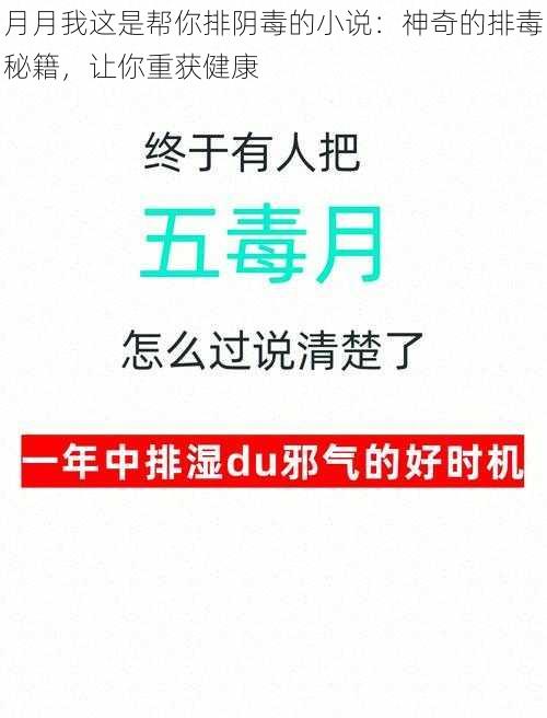 月月我这是帮你排阴毒的小说：神奇的排毒秘籍，让你重获健康