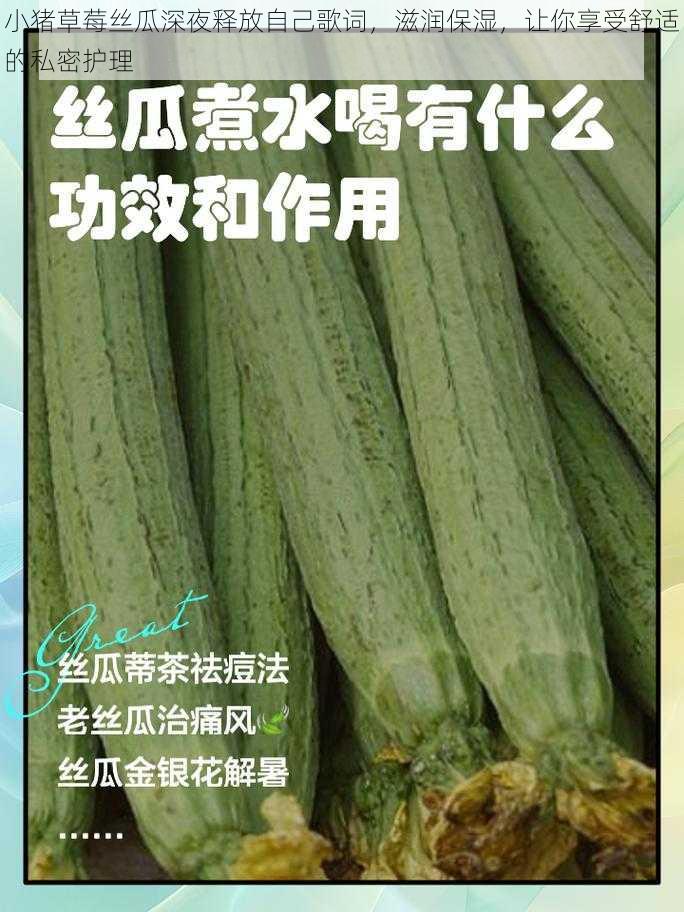 小猪草莓丝瓜深夜释放自己歌词，滋润保湿，让你享受舒适的私密护理