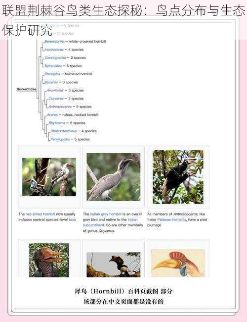 联盟荆棘谷鸟类生态探秘：鸟点分布与生态保护研究