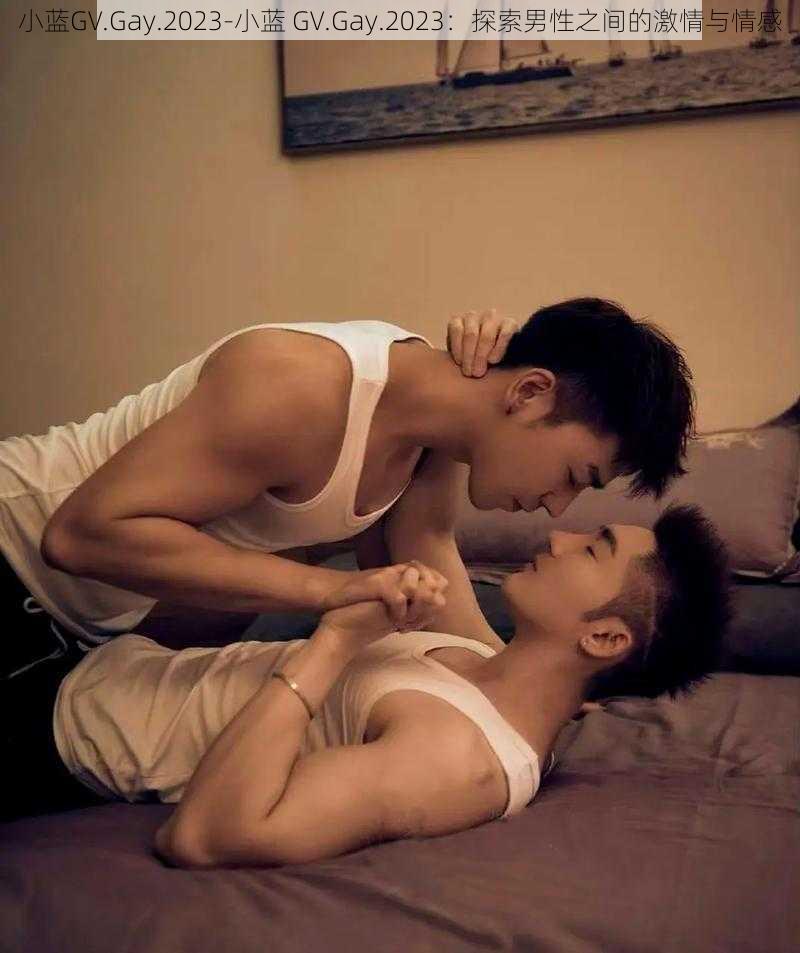 小蓝GV.Gay.2023-小蓝 GV.Gay.2023：探索男性之间的激情与情感