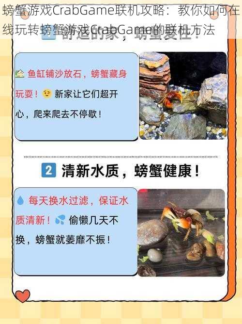 螃蟹游戏CrabGame联机攻略：教你如何在线玩转螃蟹游戏CrabGame的联机方法