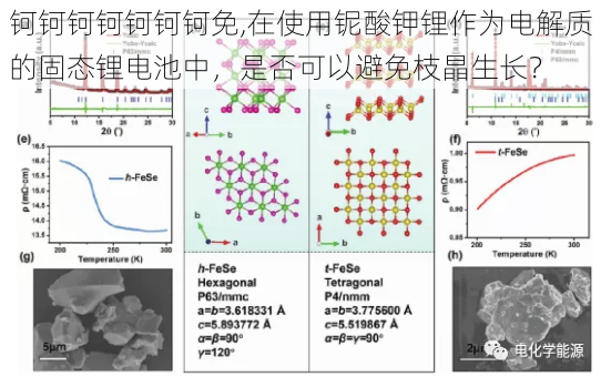 钶钶钶钶钶钶钶免,在使用铌酸钾锂作为电解质的固态锂电池中，是否可以避免枝晶生长？