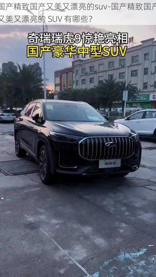 国产精致国产又美又漂亮的suv-国产精致国产又美又漂亮的 SUV 有哪些？