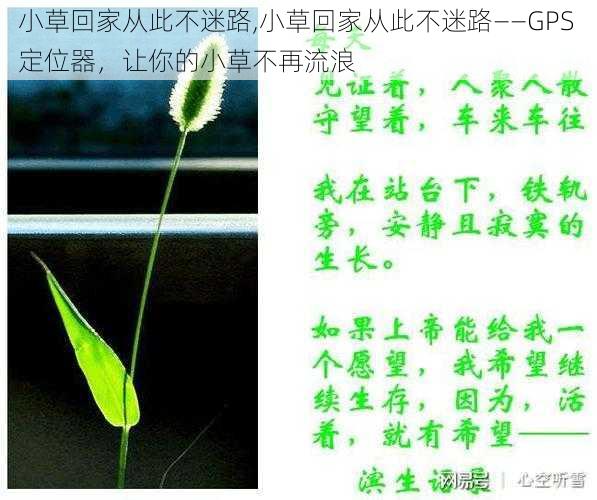 小草回家从此不迷路,小草回家从此不迷路——GPS 定位器，让你的小草不再流浪