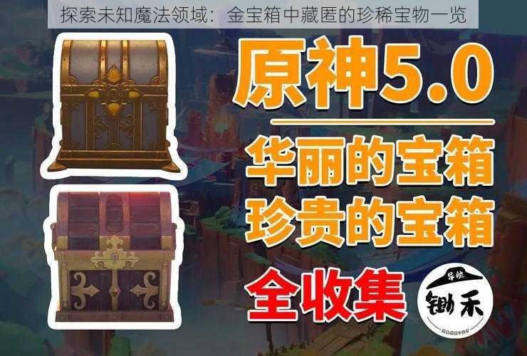 探索未知魔法领域：金宝箱中藏匿的珍稀宝物一览