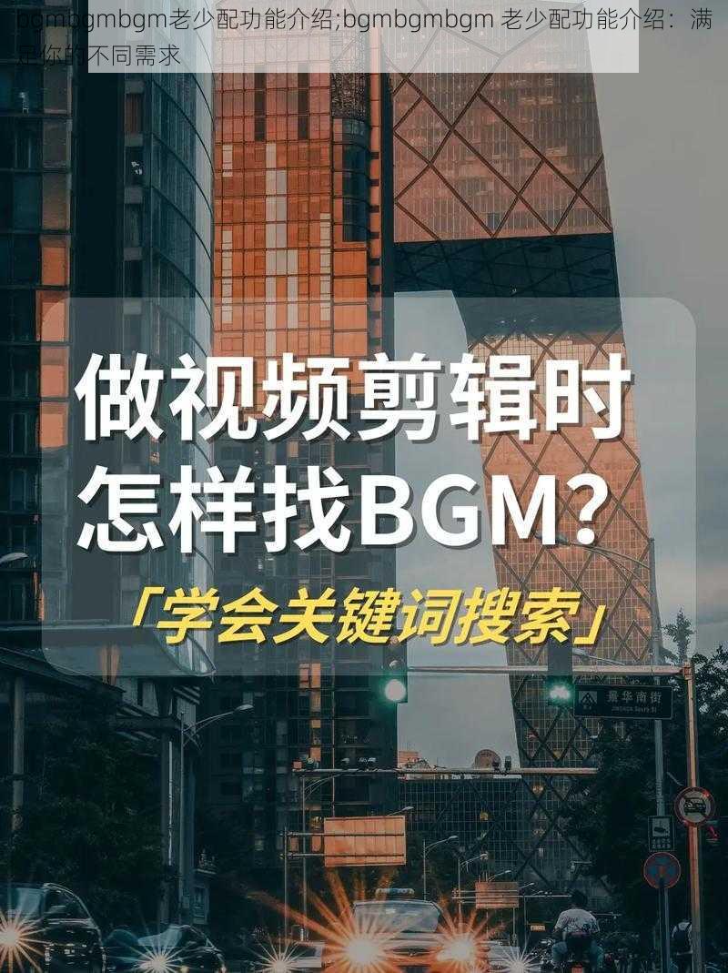 bgmbgmbgm老少配功能介绍;bgmbgmbgm 老少配功能介绍：满足你的不同需求