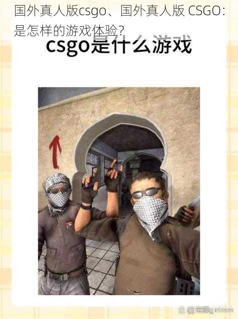 国外真人版csgo、国外真人版 CSGO：是怎样的游戏体验？