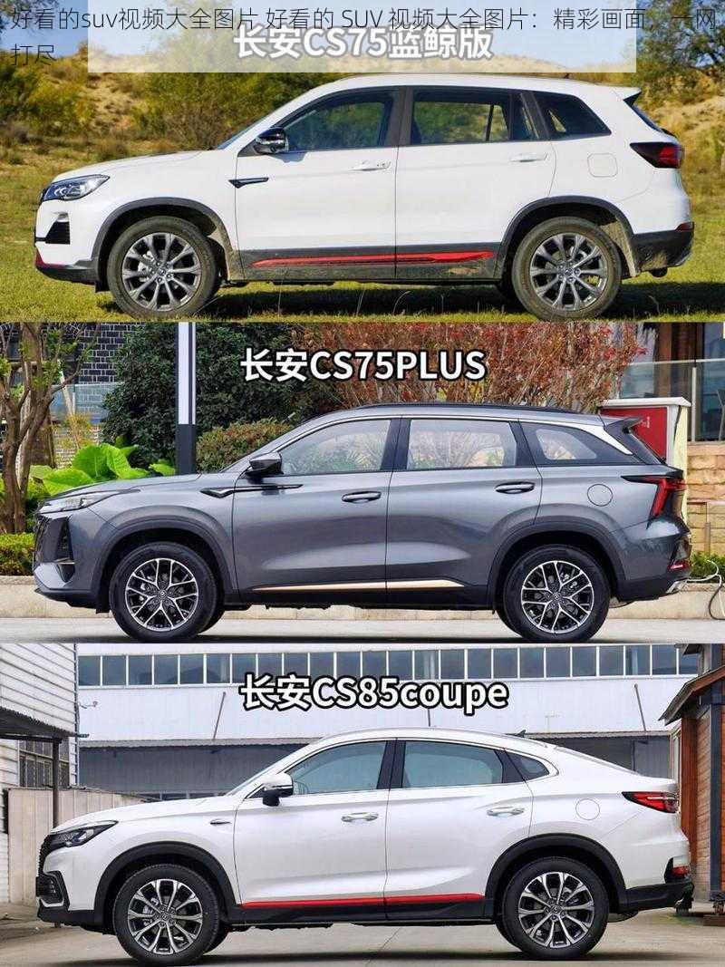 好看的suv视频大全图片 好看的 SUV 视频大全图片：精彩画面，一网打尽