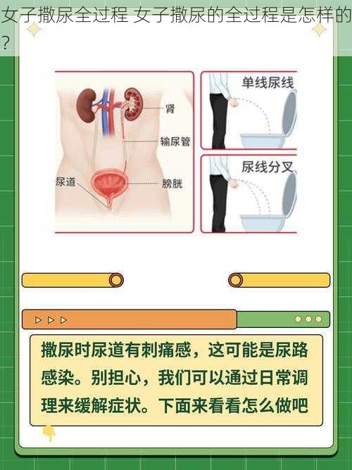 女子撒尿全过程 女子撒尿的全过程是怎样的？