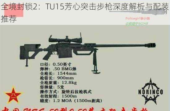 全境封锁2：TU15芳心突击步枪深度解析与配装推荐