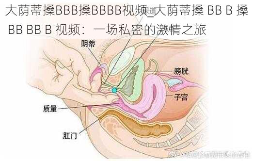 大荫蒂搡BBB搡BBBB视频_大荫蒂搡 BB B 搡 BB BB B 视频：一场私密的激情之旅