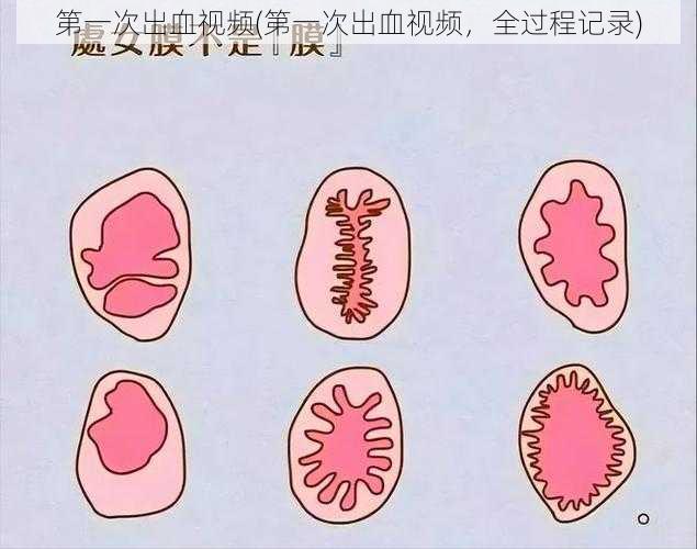 第一次出血视频(第一次出血视频，全过程记录)