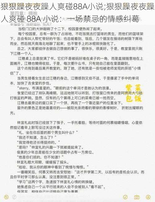 狠狠躁夜夜躁人爽碰88A小说;狠狠躁夜夜躁人爽碰 88A 小说：一场禁忌的情感纠葛