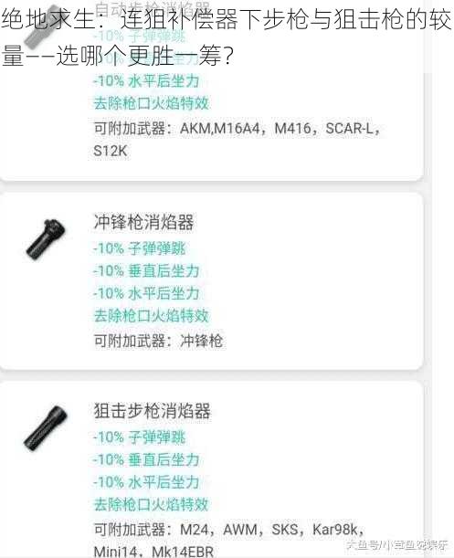 绝地求生：连狙补偿器下步枪与狙击枪的较量——选哪个更胜一筹？