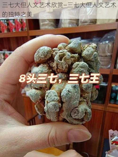 三七大但人文艺术欣赏—三七大但人文艺术的独特之美