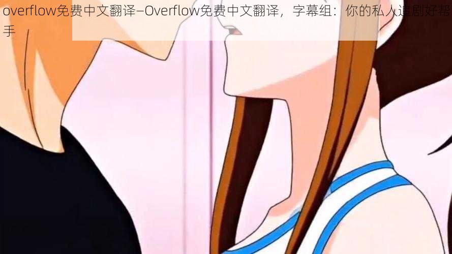 overflow免费中文翻译—Overflow免费中文翻译，字幕组：你的私人追剧好帮手